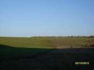 Коржова - Останні фото