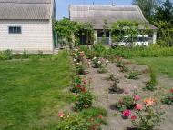 Нова Збур'ївка з panoramio.com