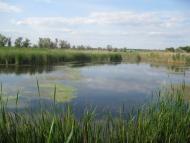 Маївка з panoramio.com