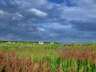 Великі Дмитровичі з panoramio.com