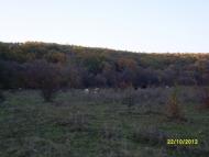 Коржова - Останні фото