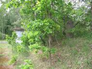 Рижів з panoramio.com