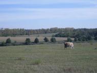 Перекопівка з panoramio.com - Перекоповка
