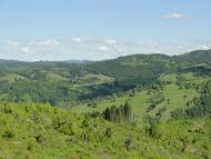 Торунь з panoramio.com