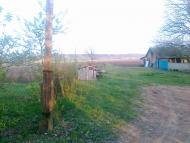 Осикове з panoramio.com