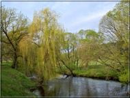 Першотравенськ з panoramio.com