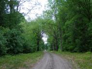 Петровское - Последние фото