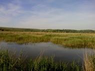 Катеринівка з panoramio.com