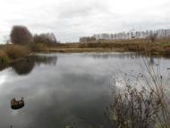 Сиваківці з panoramio.com