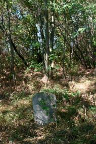 Трощин з panoramio.com