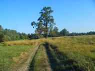 Малі Будища з panoramio.com