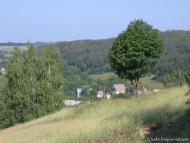 Старі Безрадичі з panoramio.com