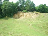 Тростянець з panoramio.com