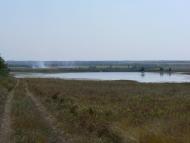 Орлинське з panoramio.com