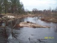 Томашгород з panoramio.com