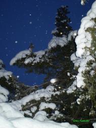 Пролітне з panoramio.com