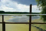 Дубовик з panoramio.com