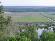 Великі Дмитровичі з panoramio.com