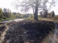 Малі Будища з panoramio.com