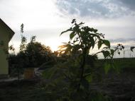 Великий Житин з panoramio.com