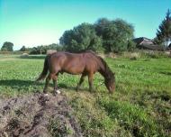 Галків з panoramio.com