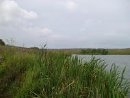 Питомник з panoramio.com