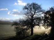 Фронтове - Останні фото