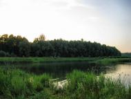 Любомудрівка з panoramio.com