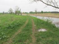 Дмитрівка - Останні фото