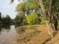 Гонтов Яр - Последние фото