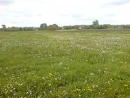 Новопідкряж з panoramio.com