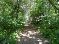 Стримівка з panoramio.com