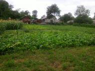 Корнів з panoramio.com