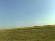 Широке з panoramio.com