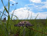 Данилове з panoramio.com