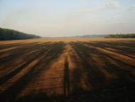 Музичі з panoramio.com