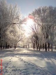 Щорськ з panoramio.com