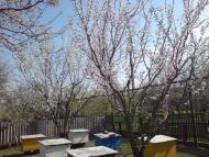 Новопідкряж з panoramio.com