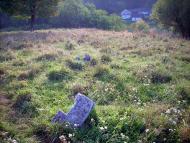 Чернелиця з panoramio.com