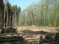 Карпівці з panoramio.com