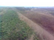 Дячківка з panoramio.com