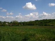 Чижівка з panoramio.com