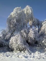 Русаківка з panoramio.com