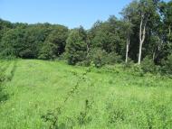 Горошівці з panoramio.com