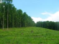 Володимирівка - Останні фото