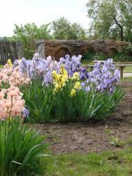 Густиня з panoramio.com