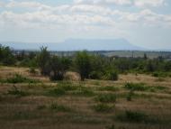 Скворцове з panoramio.com