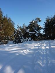 Романків з panoramio.com