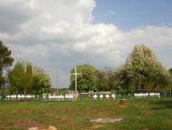 Римачі з panoramio.com