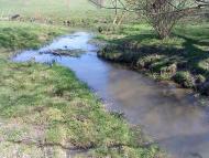 Яланець з panoramio.com